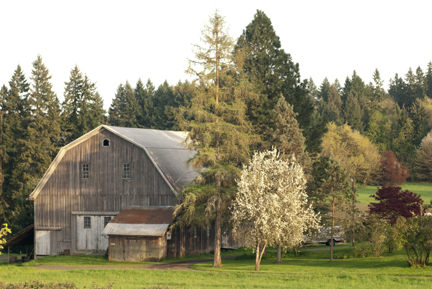 Saggert Barn